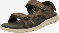 Bugatti Sandalen & Pantoffels Sandalen Creek Heren Ombergrijs / Donkerbruin