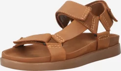 Clarks Sandalen & Pantoffels Sandalen Sunder Range Heren Bruin