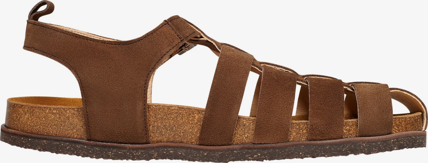 Sandalen & Pantoffels Sandalen Drew FSI Heren Bruin 4 Sandalen & Pantoffels Sandalen Drew FSI Heren Bruin - Afbeelding 4