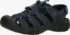 LICO Sandalen & Pantoffels Sandalen Heren Blauw / Nachtblauw