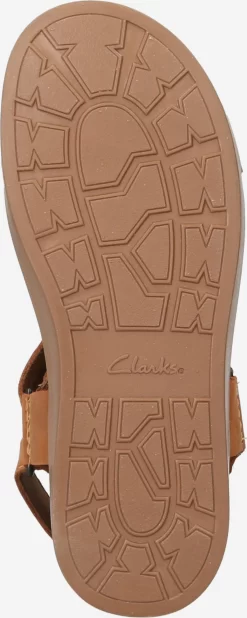 Clarks Sandalen & Pantoffels Sandalen Sunder Range Heren Bruin -Schoen Verkoop bb70e59166cb229a0e21df01fbaf018e scaled